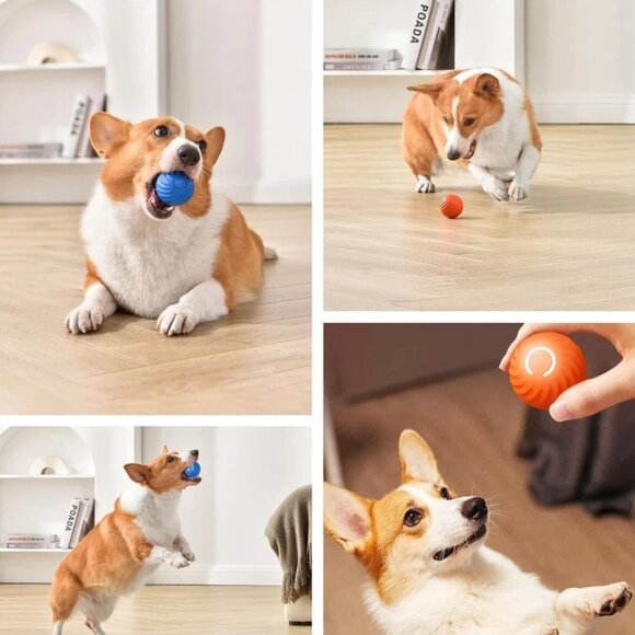 NEW Smart Dog Toy Ball Electronic Interactive Pet Toy Moving Ball USB Automatic - Picture 1 of 4